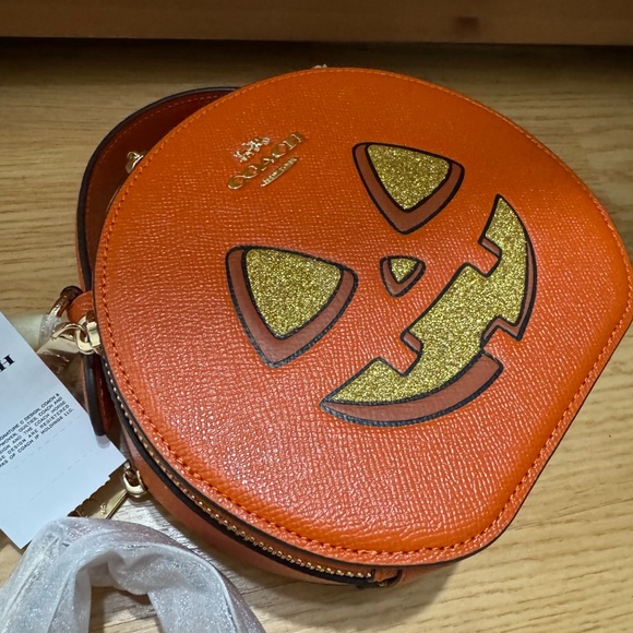 🎃Canteen Crossbody Bag With Halloween Pumpkin Print - Picture 13 of 14